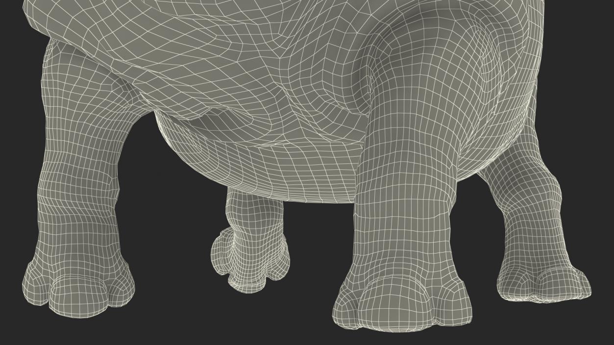 3D Rhino Walking Pose model