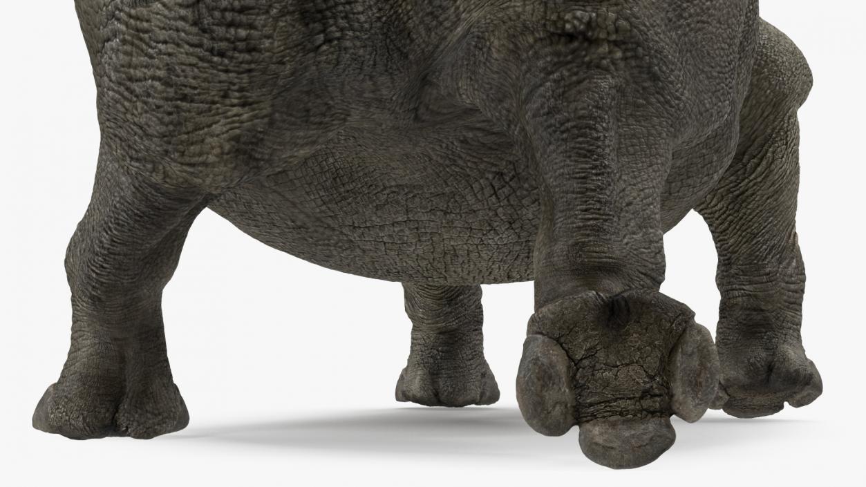 3D Rhino Walking Pose model