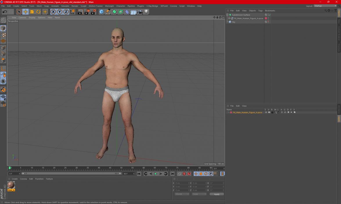 3D Fit Male Human Figure A-pose model