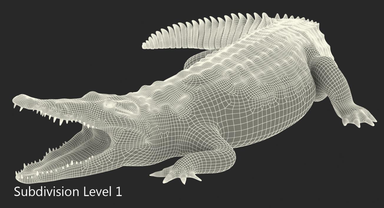 Crocodile Attacks Pose 2 3D model