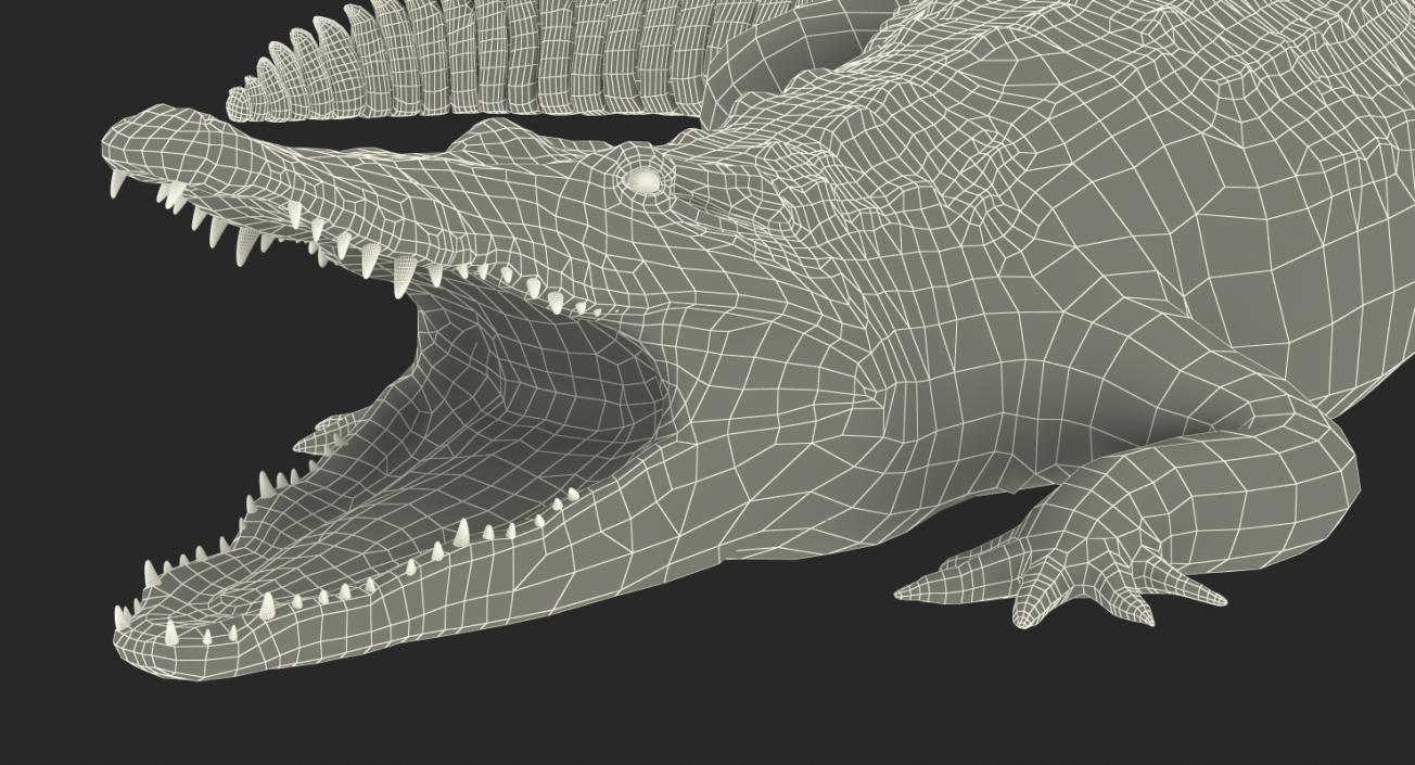 Crocodile Attacks Pose 2 3D model