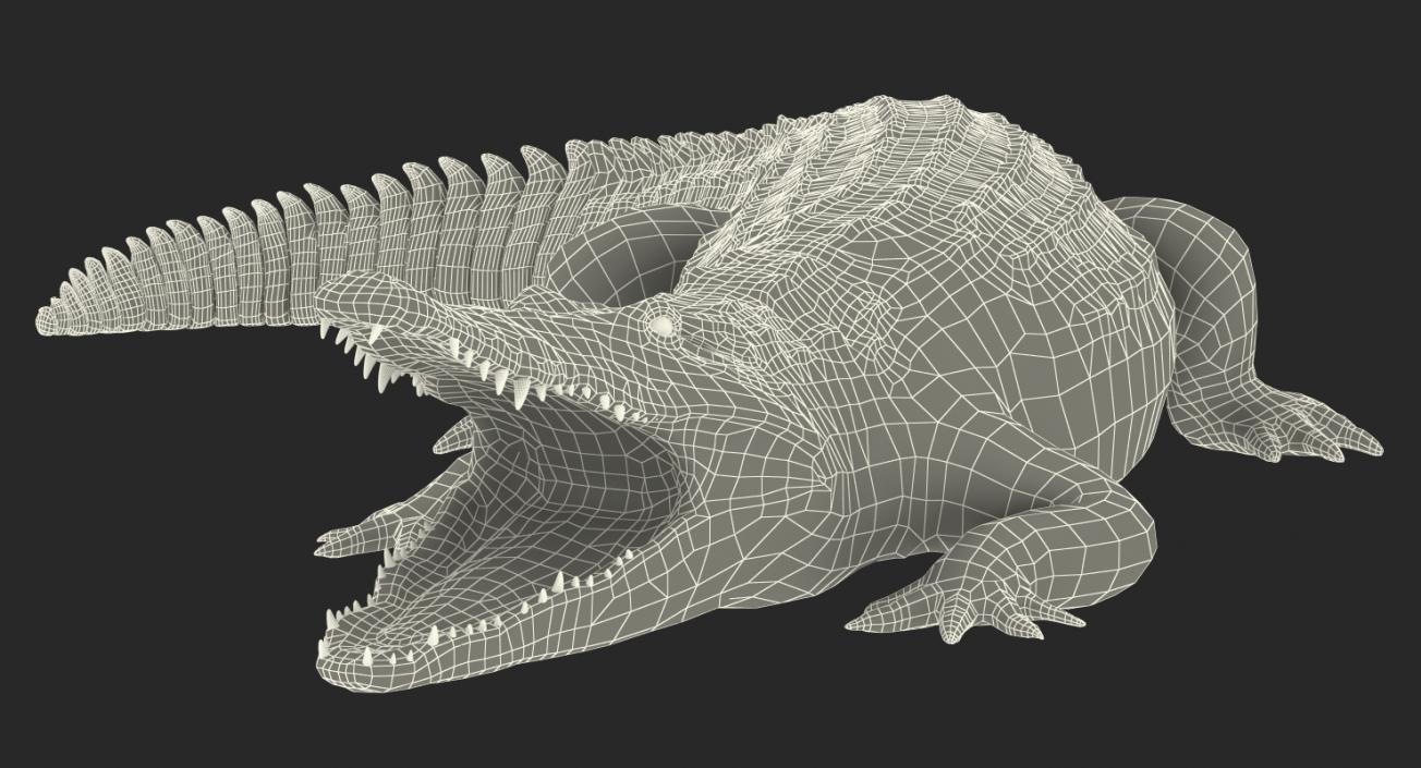 Crocodile Attacks Pose 2 3D model