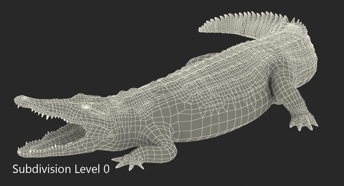 Crocodile Attacks Pose 2 3D model