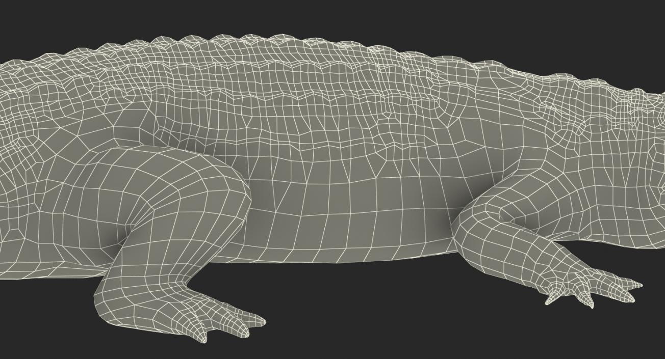 Crocodile Attacks Pose 2 3D model