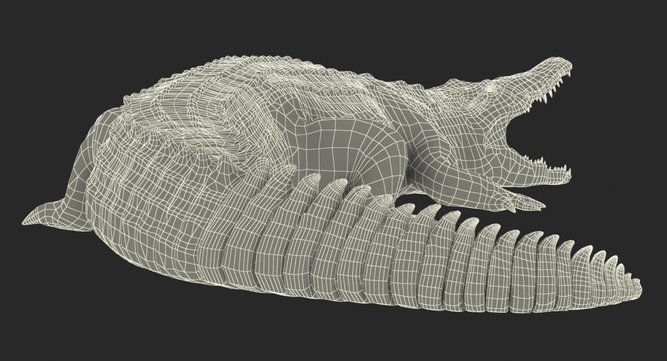 Crocodile Attacks Pose 2 3D model