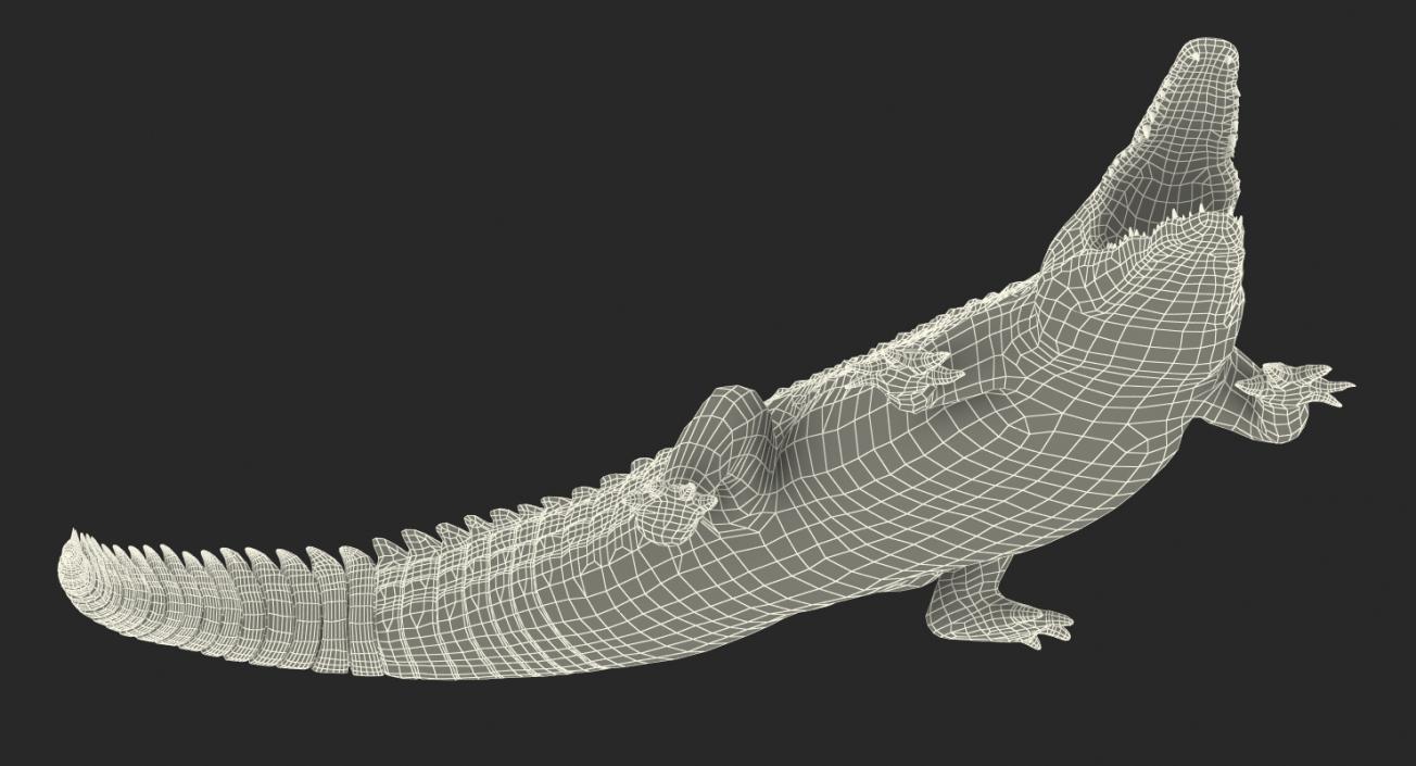 Crocodile Attacks Pose 2 3D model