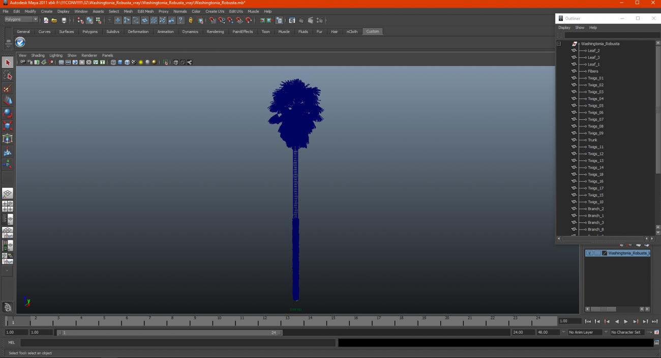 3D model Washingtonia Robusta