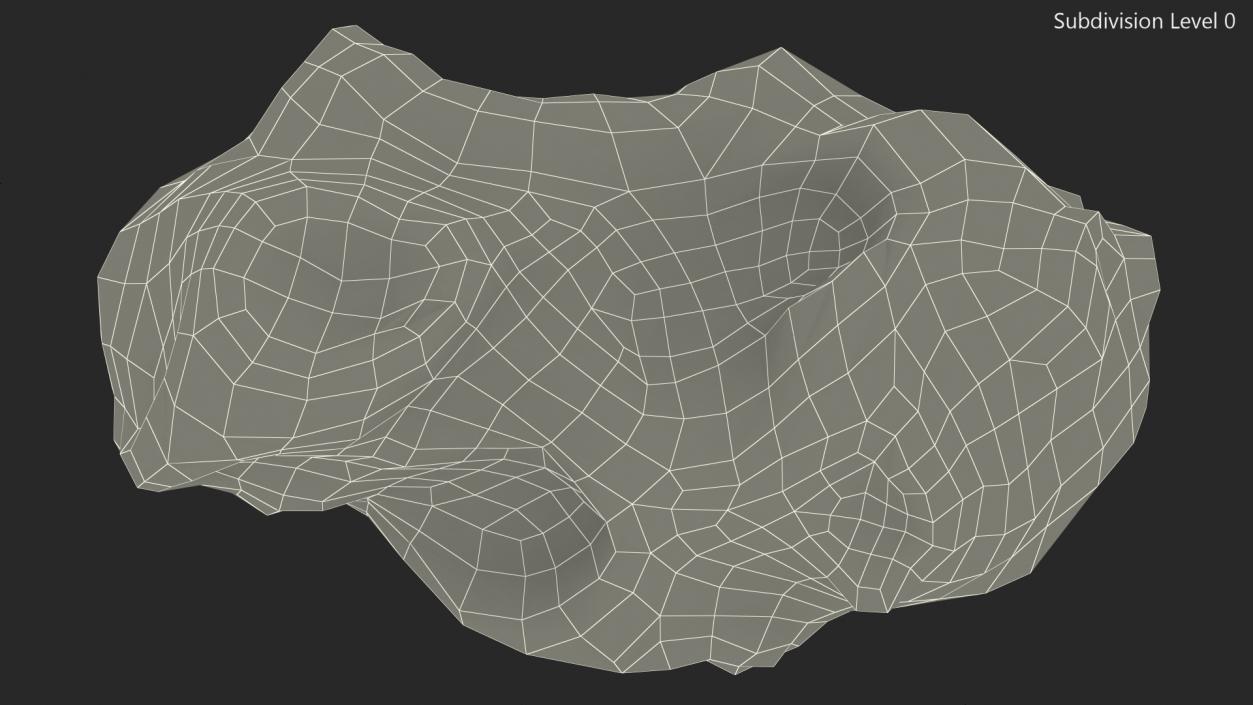 3D Chondrite Asteroid model