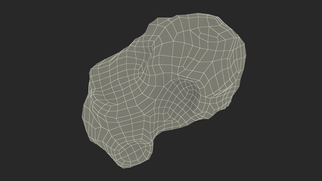 3D Chondrite Asteroid model