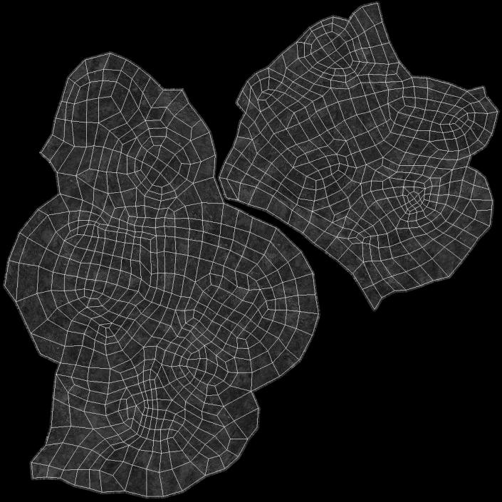 3D Chondrite Asteroid model