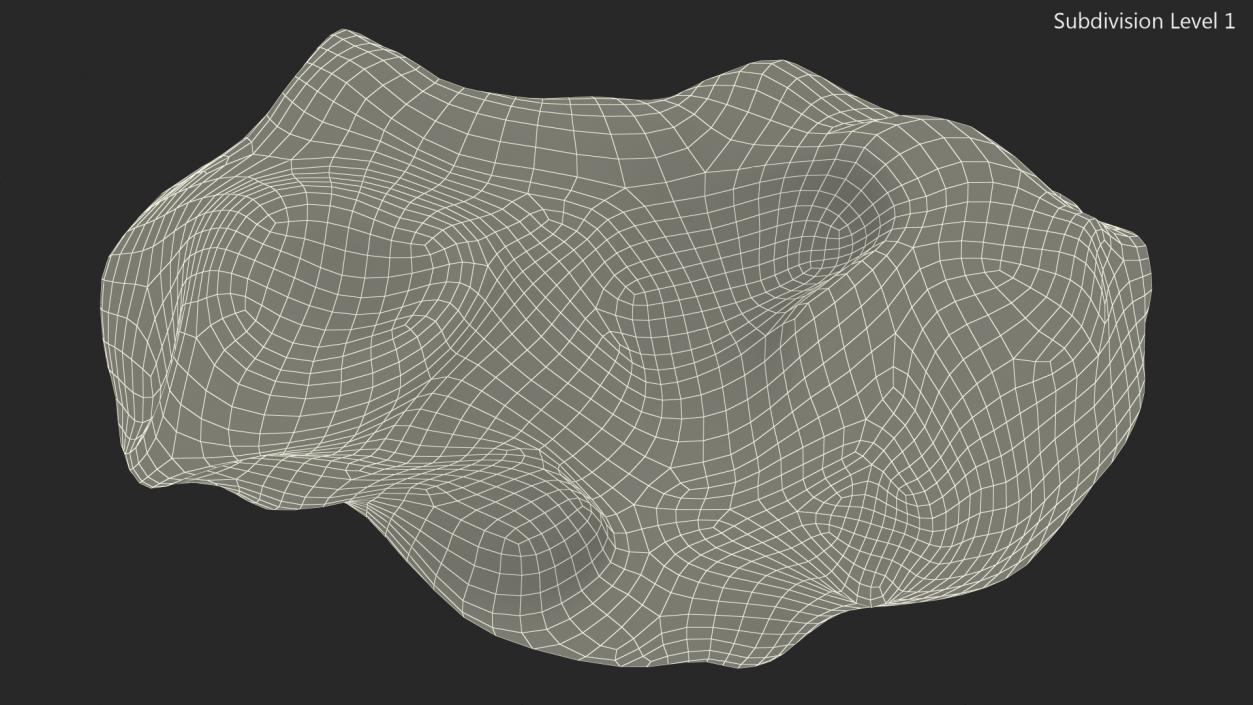 3D Chondrite Asteroid model