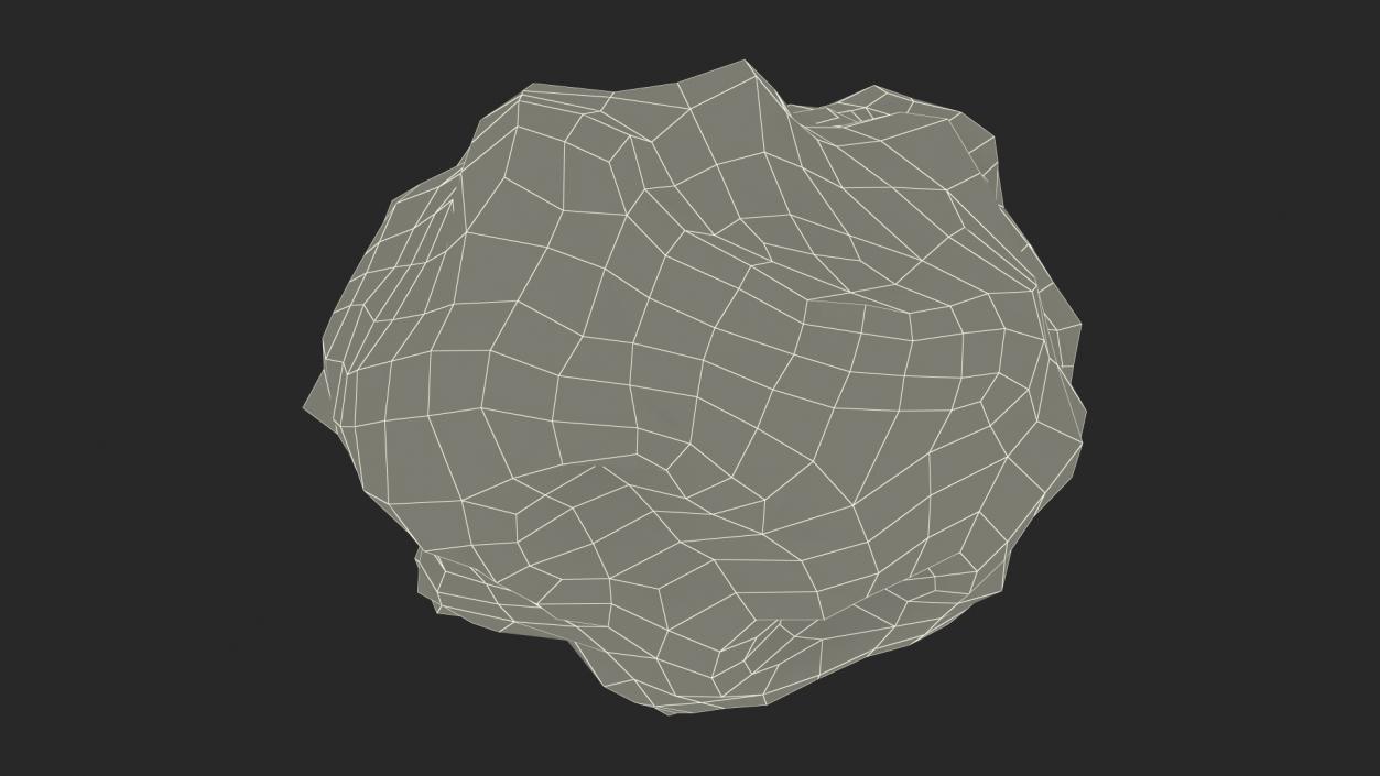 3D Chondrite Asteroid model