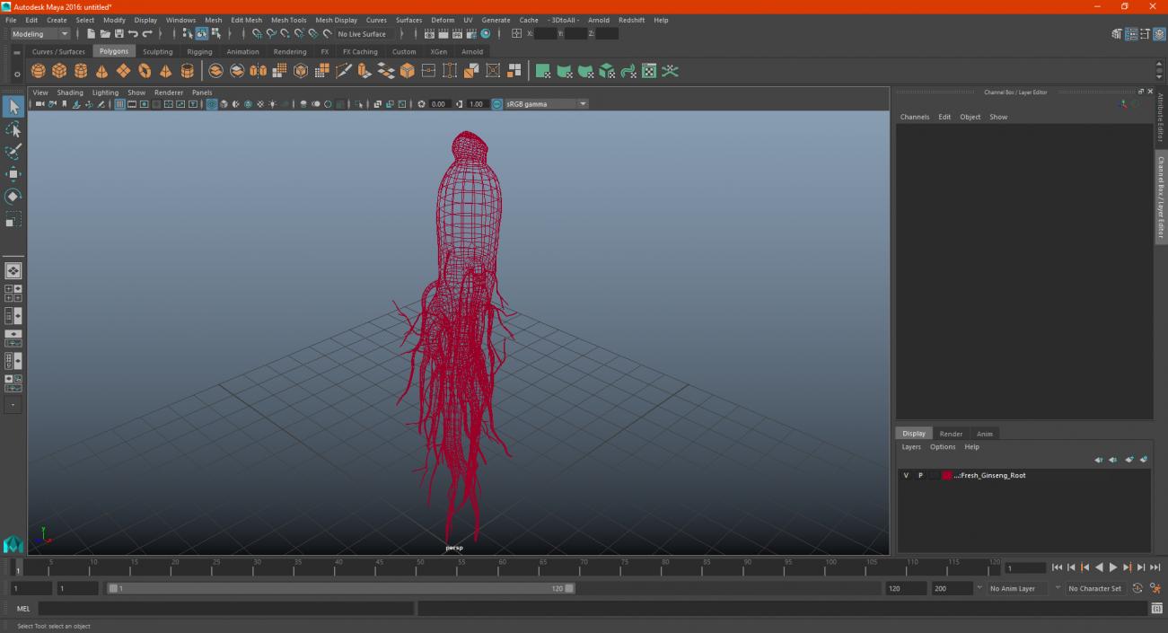 3D Fresh Ginseng Root model