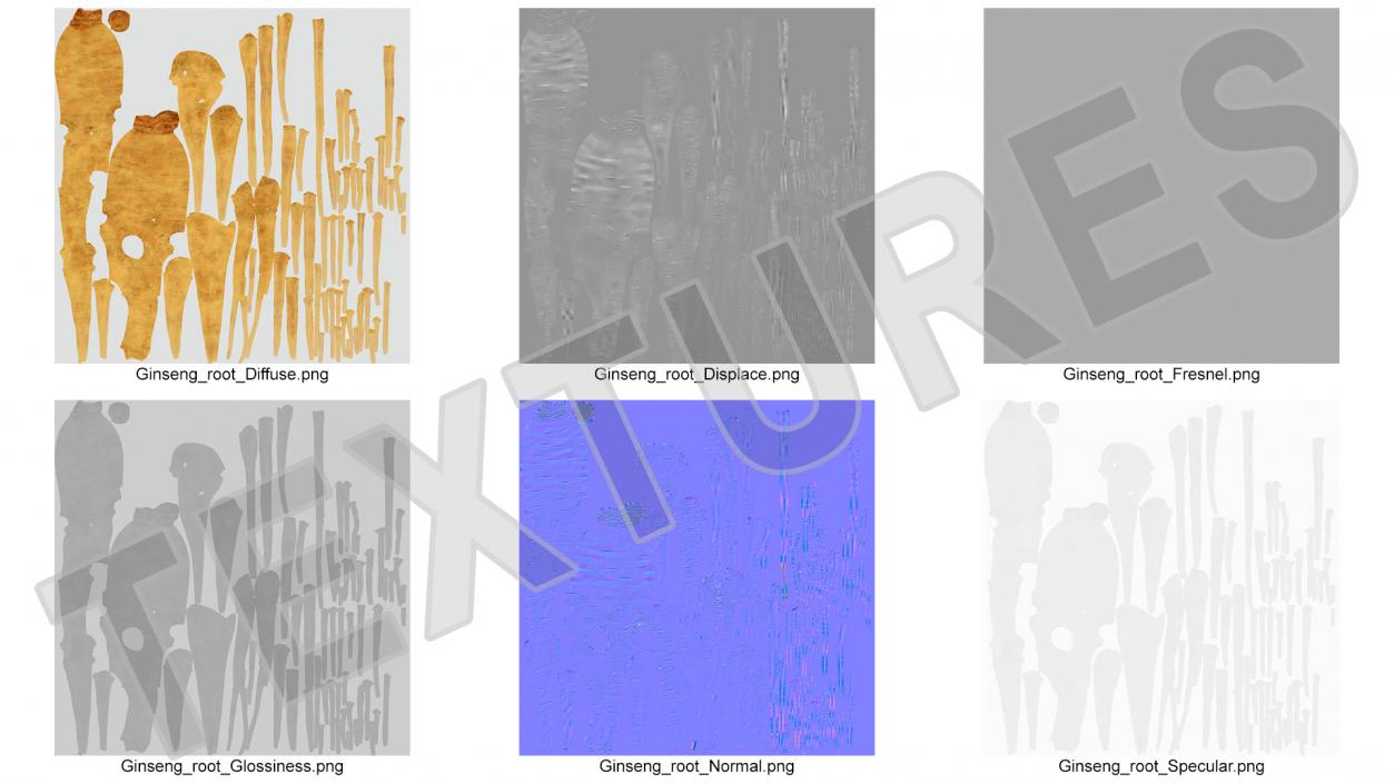 3D Fresh Ginseng Root model