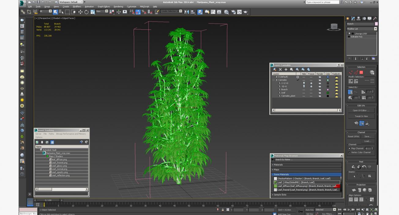 3D model Marijuana Plant