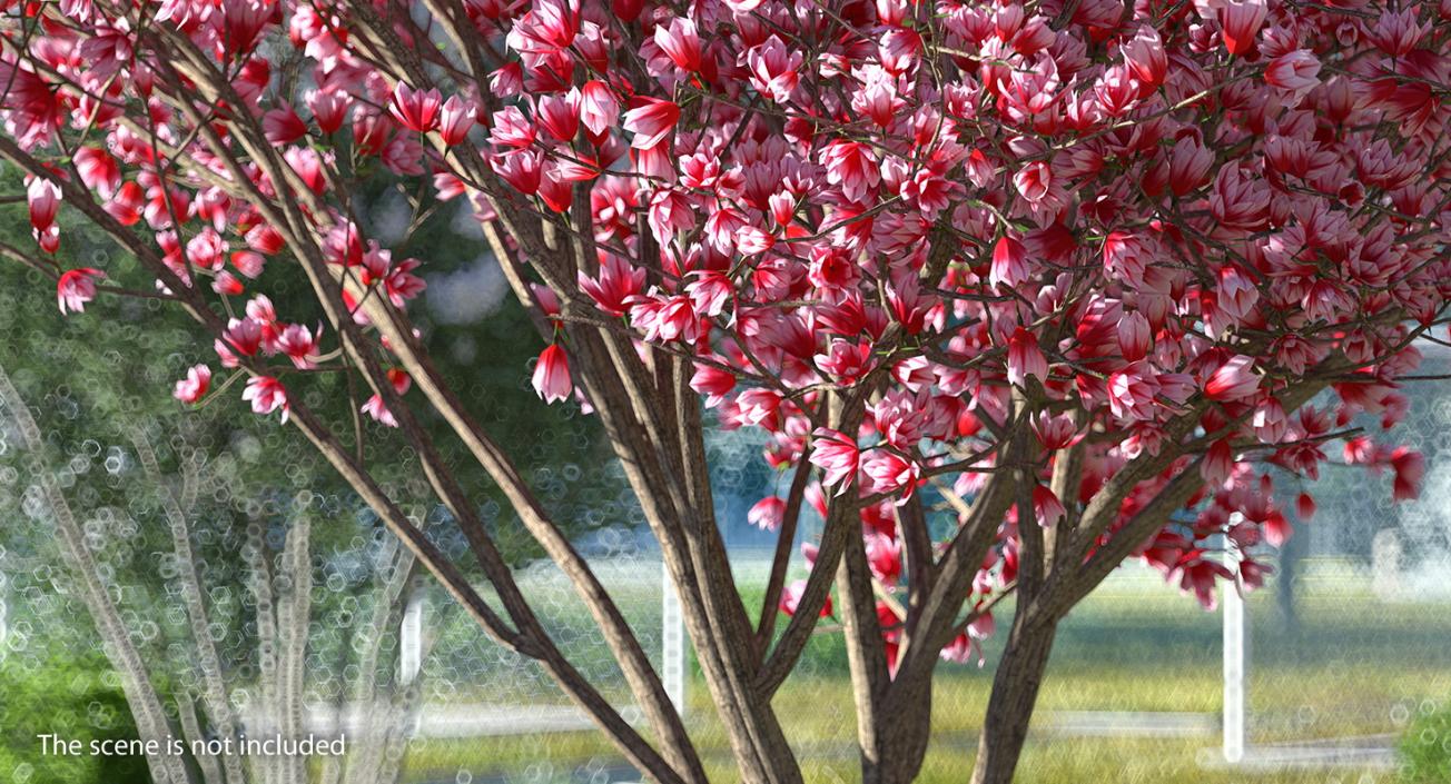 Flowering Bushes and Trees Collection 3 3D model