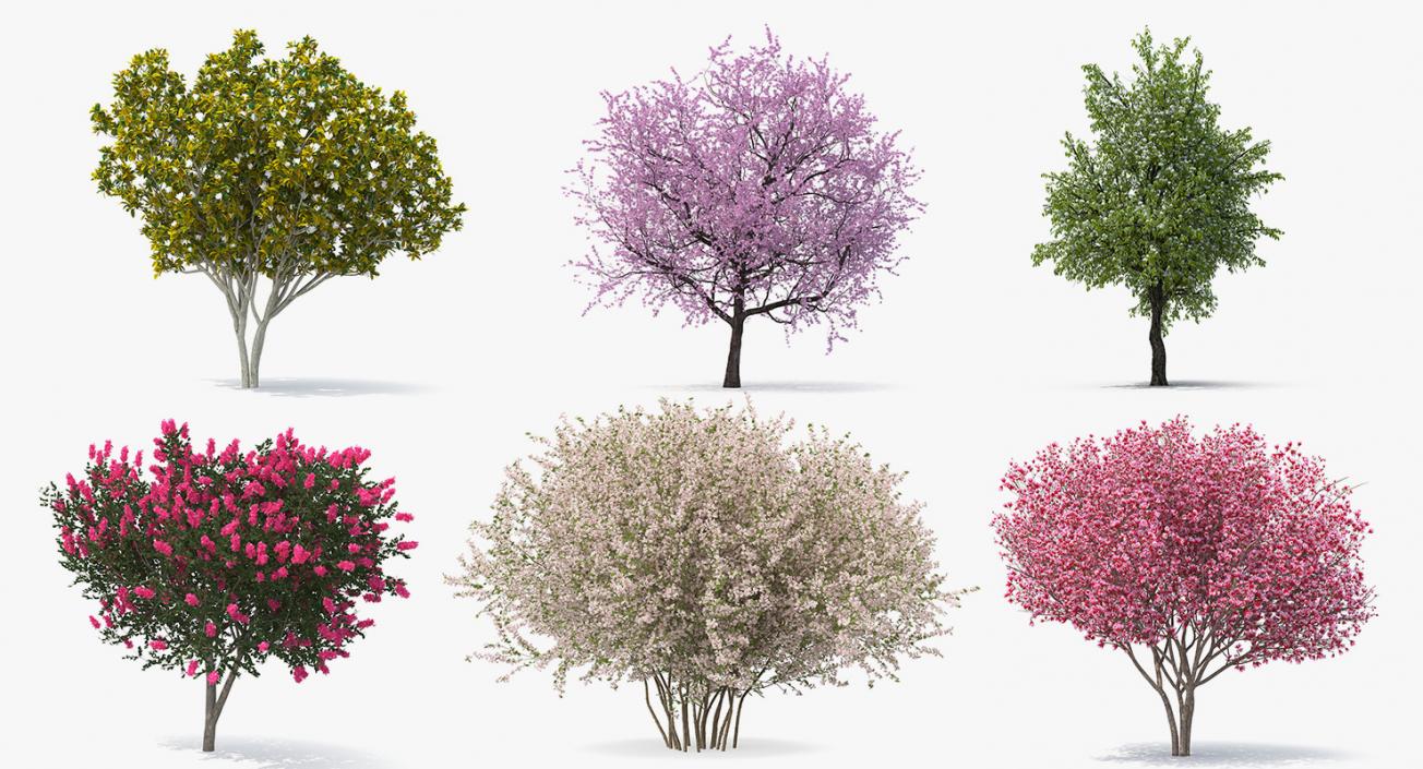 Flowering Bushes and Trees Collection 3 3D model