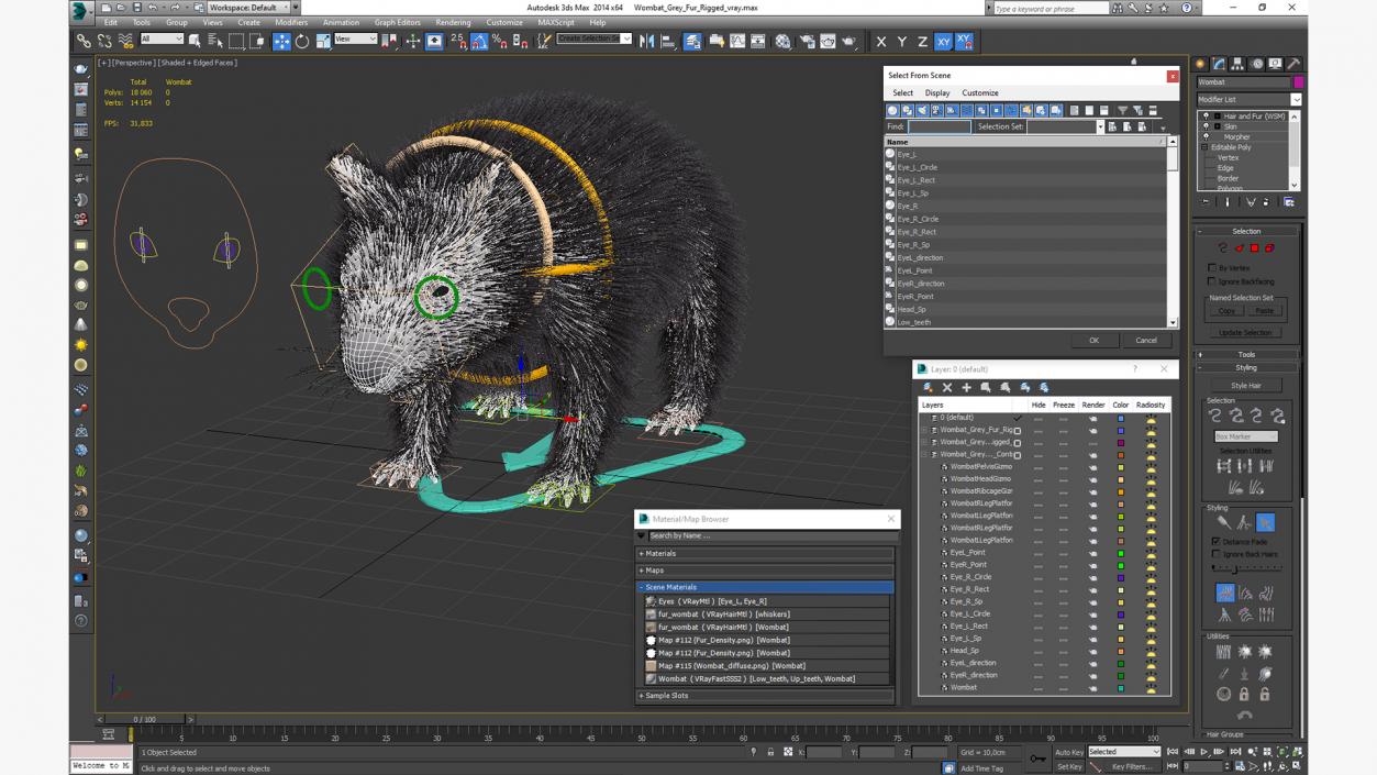 Wombat Grey Fur Rigged 3D