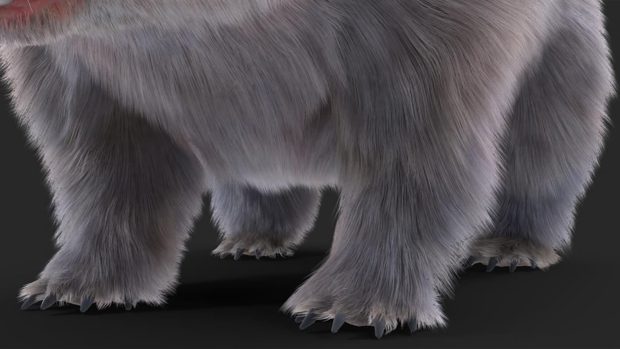 Wombat Grey Fur Rigged 3D