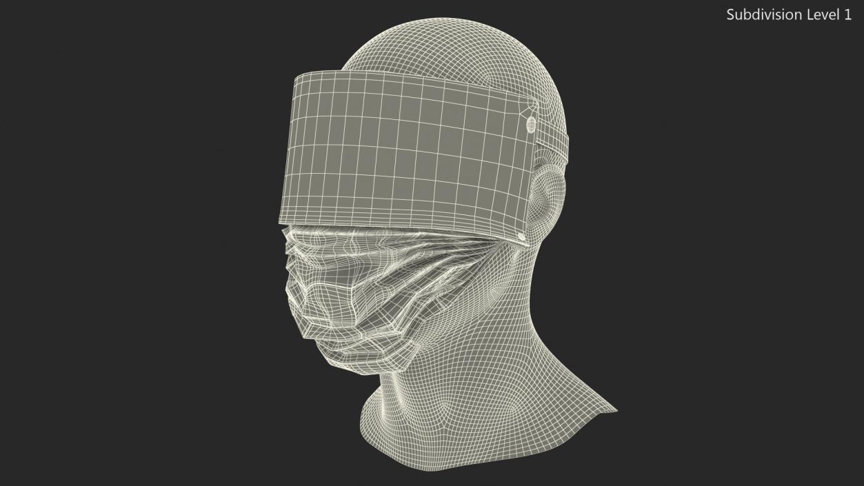 Face Shield with Medical Mask 3D model