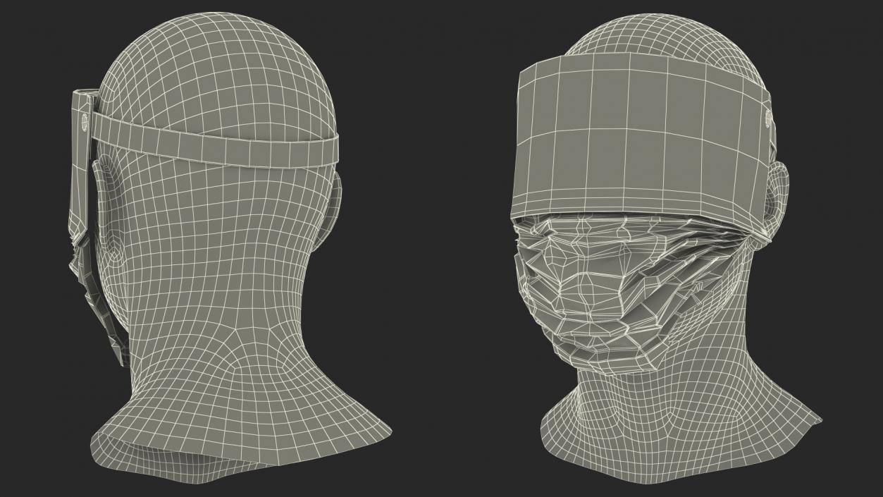 Face Shield with Medical Mask 3D model