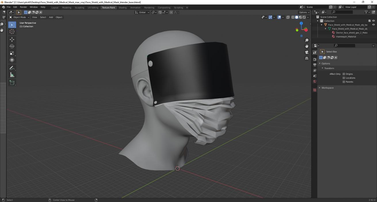 Face Shield with Medical Mask 3D model