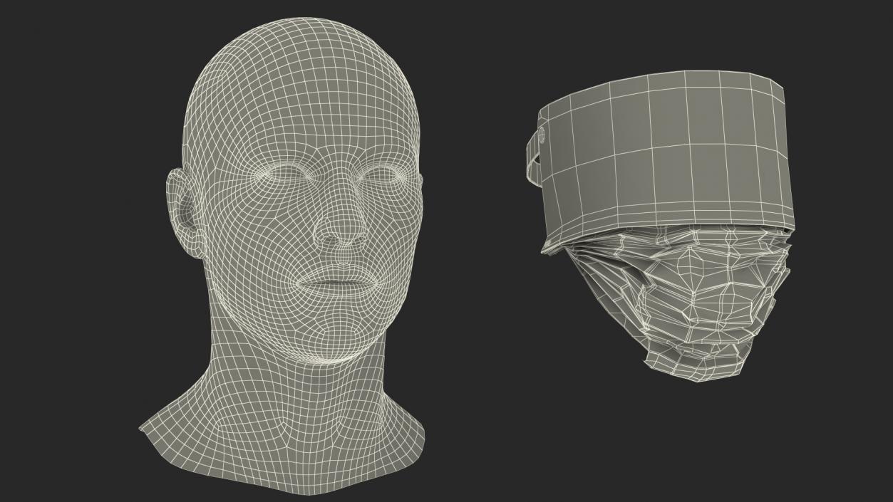 Face Shield with Medical Mask 3D model