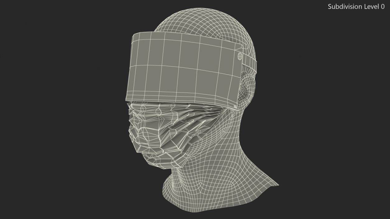 Face Shield with Medical Mask 3D model