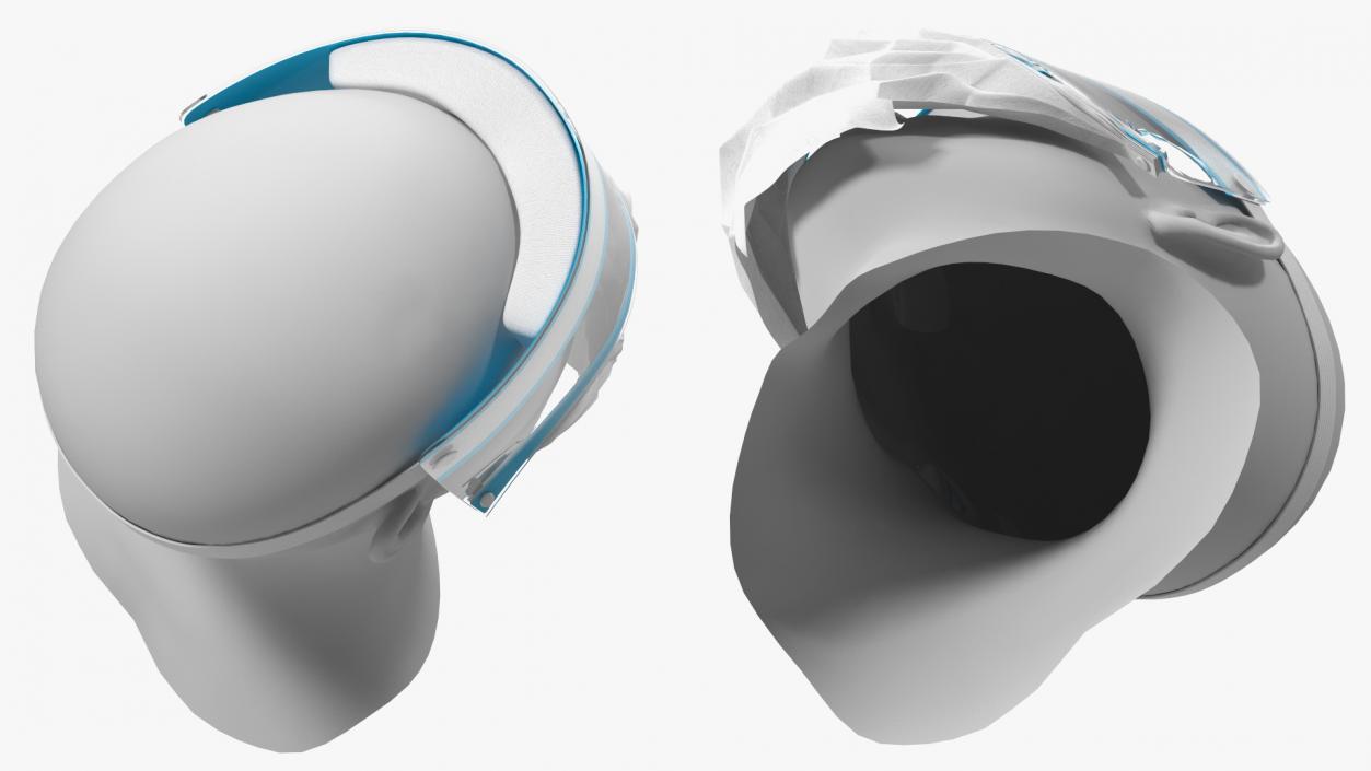 Face Shield with Medical Mask 3D model