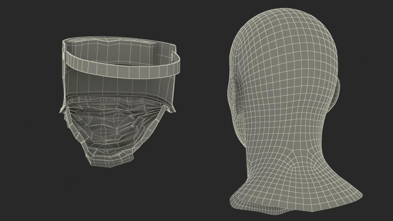 Face Shield with Medical Mask 3D model