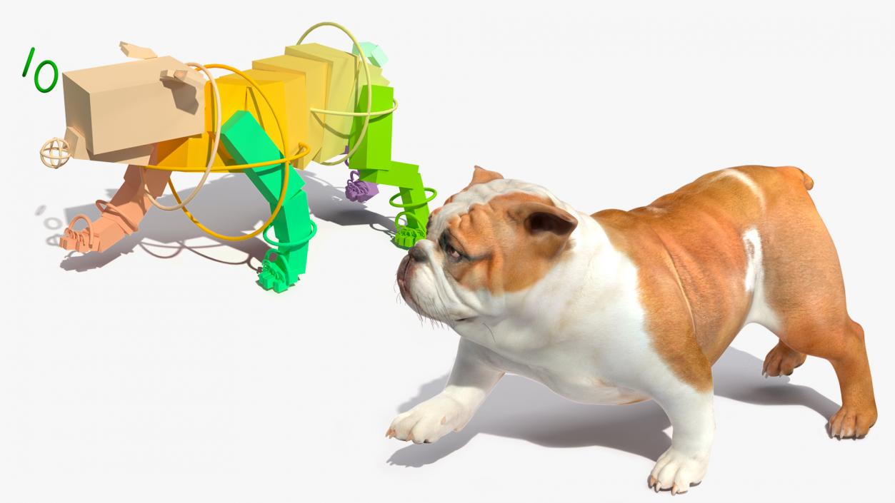 Bulldog Rigged 3D model