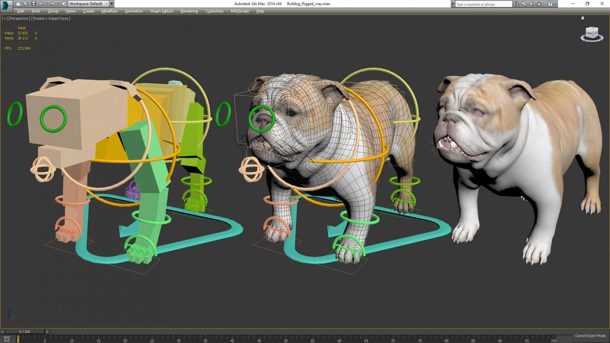 Bulldog Rigged 3D model