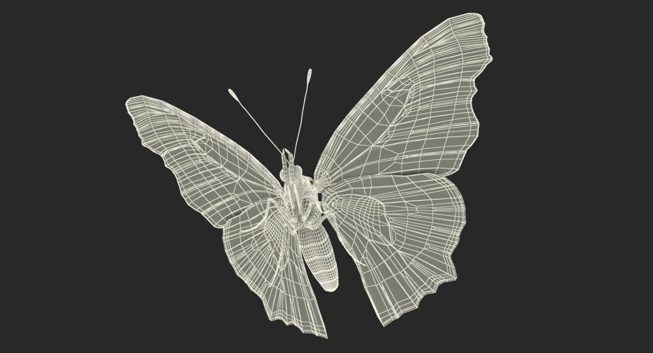 Peacock Butterfly or Aglais io with Fur 3D model