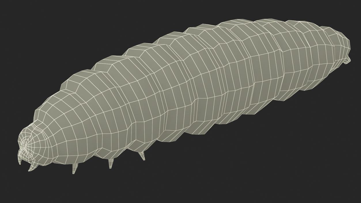 Maggot Fly Fur 3D model