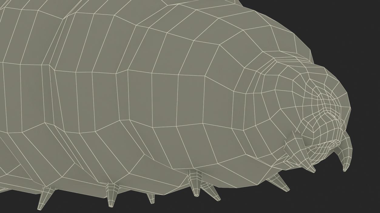 Maggot Fly Fur 3D model