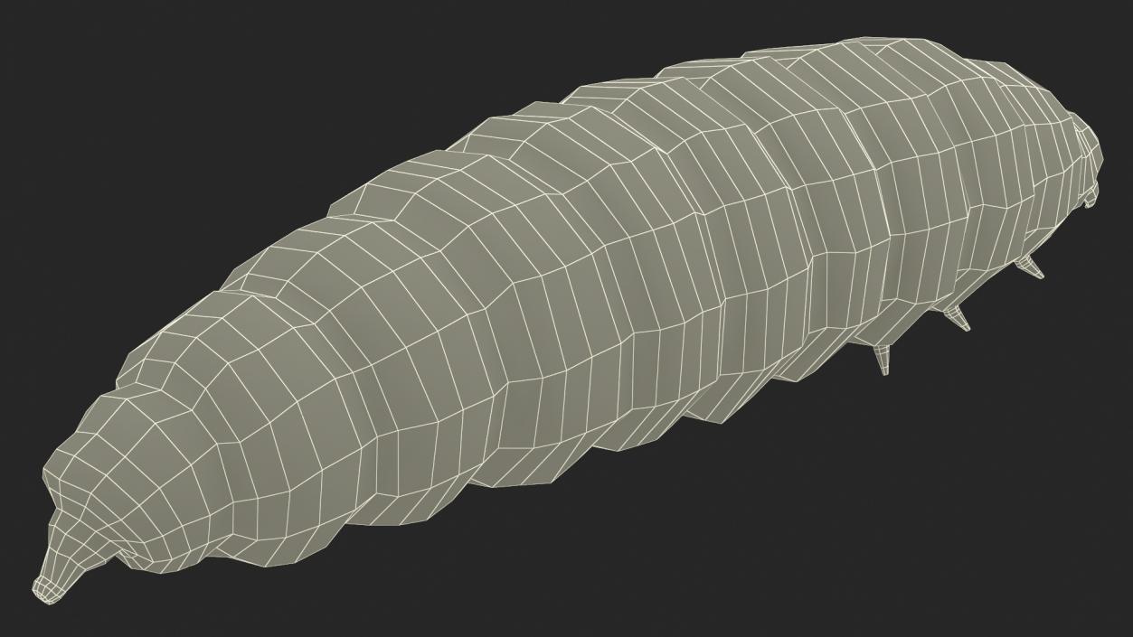 Maggot Fly Fur 3D model