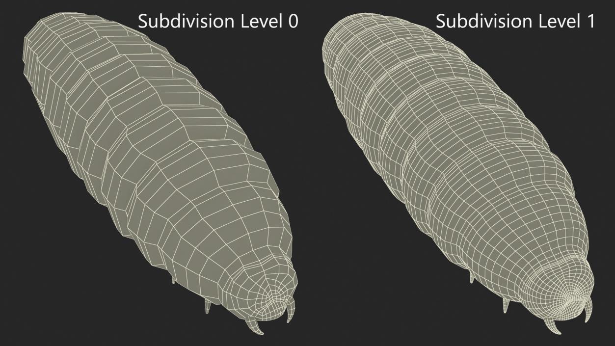 Maggot Fly Fur 3D model