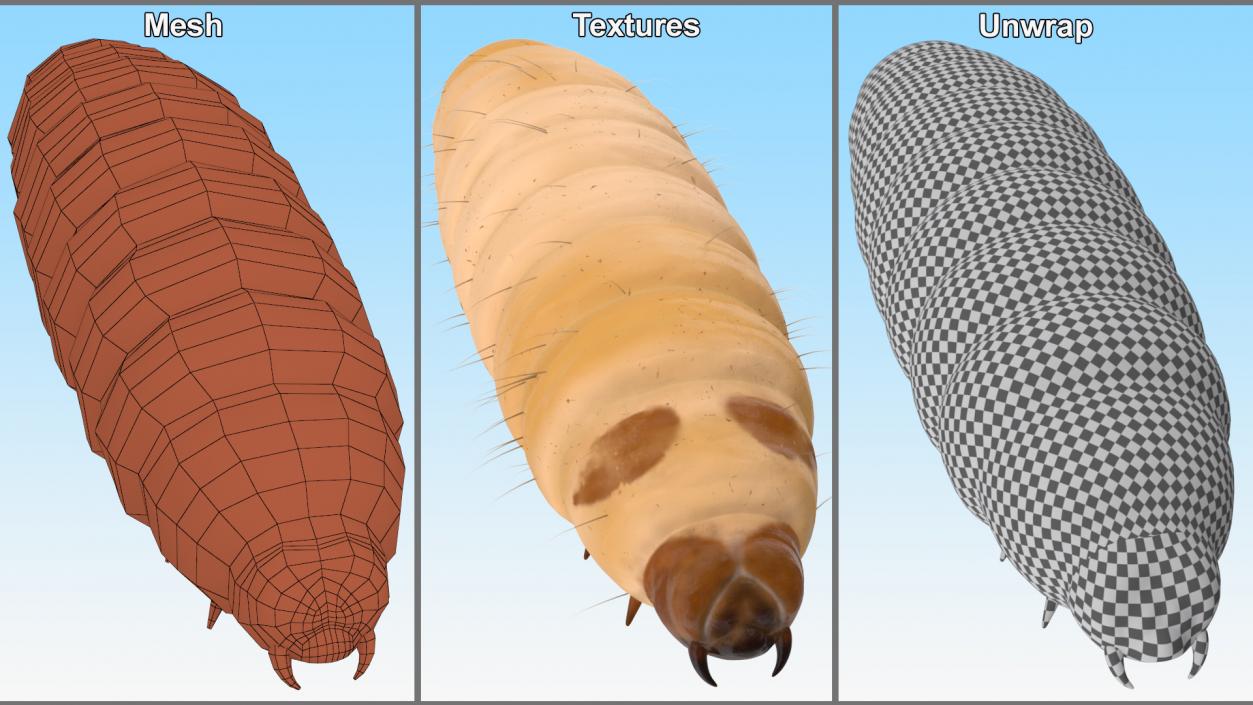 Maggot Fly Fur 3D model