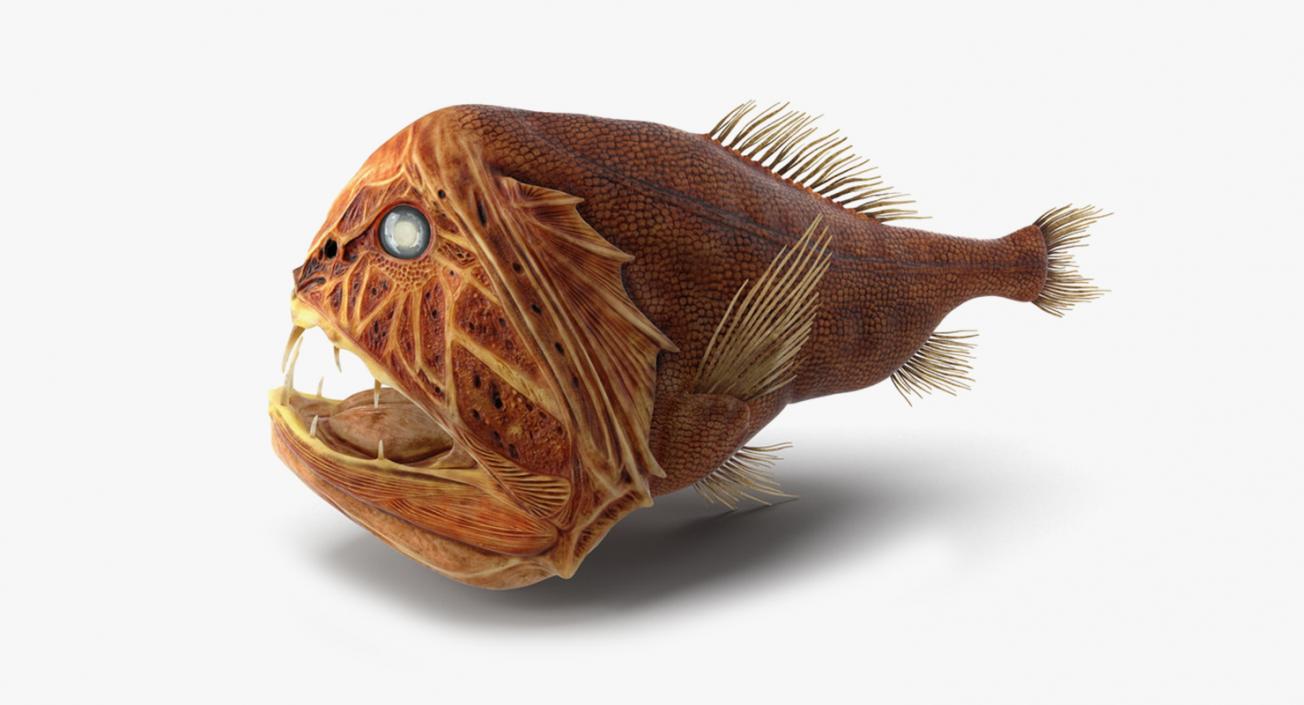 Danger Fishes Collection 3D model