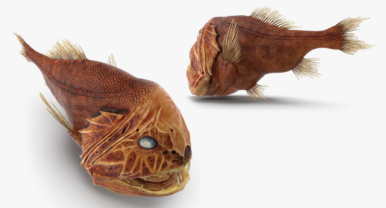 Danger Fishes Collection 3D model