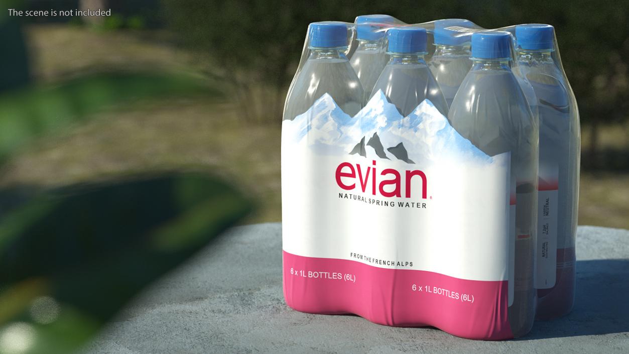 Evian Mineral Water 1L Bottle Pack 3D model