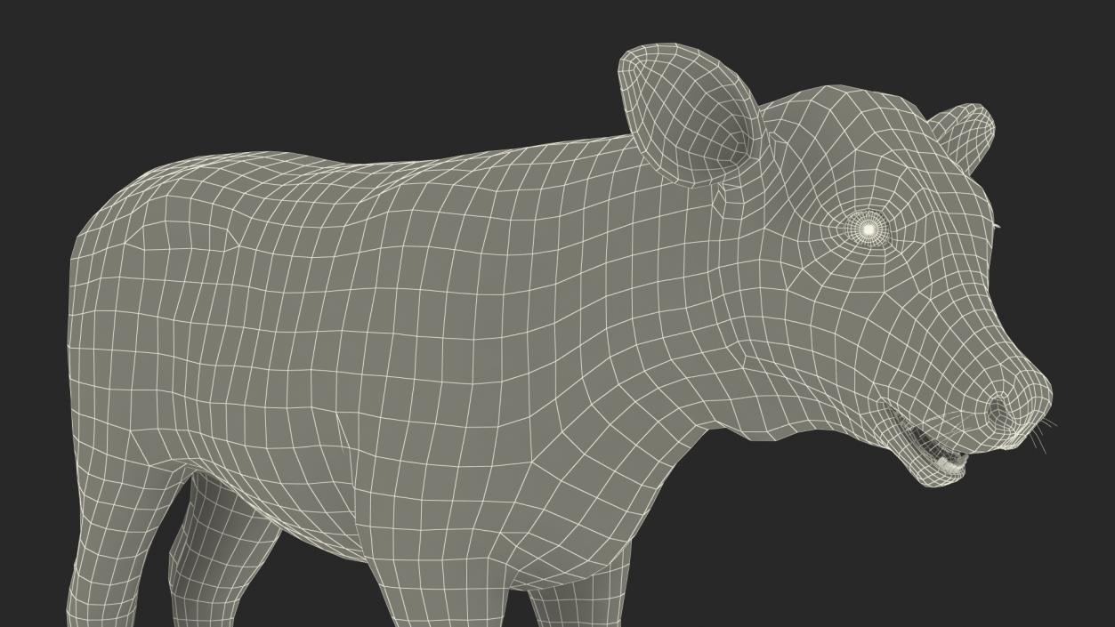 3D model Cow Calf