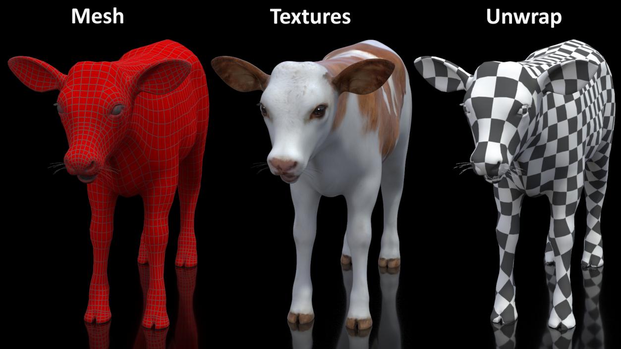 3D model Cow Calf