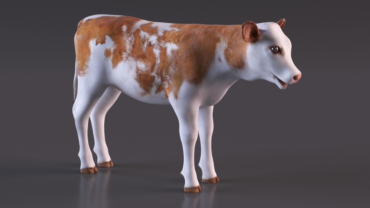 3D model Cow Calf