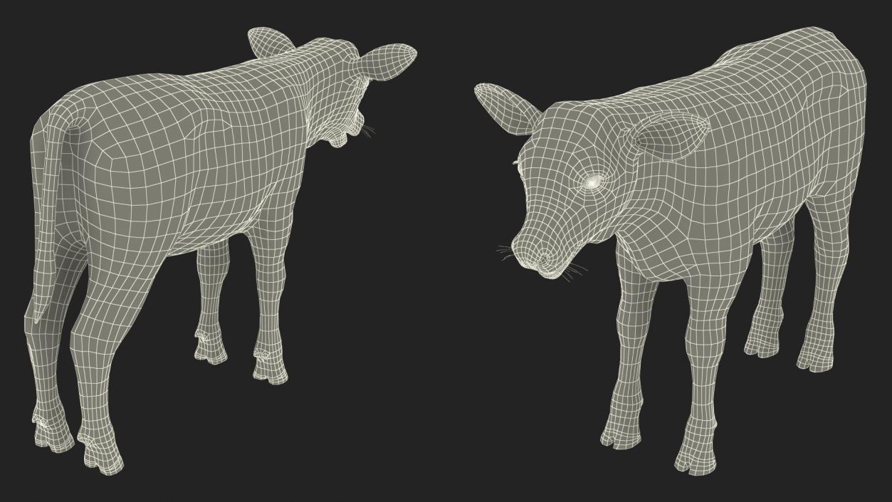 3D model Cow Calf