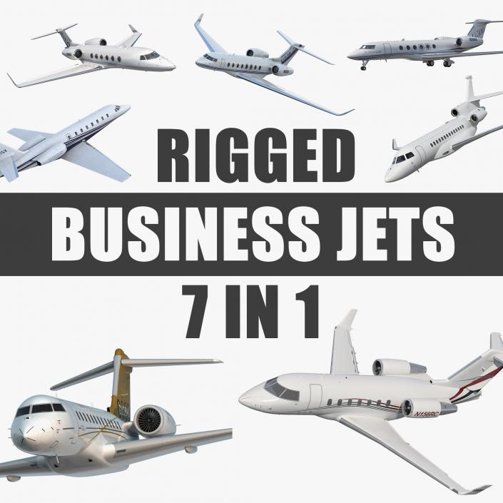 3D Rigged Business Jets Collection 2 model