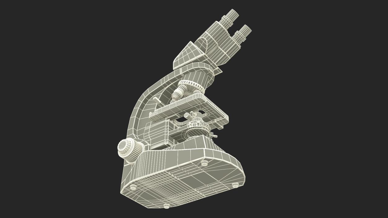 3D model Compound Light Microscope