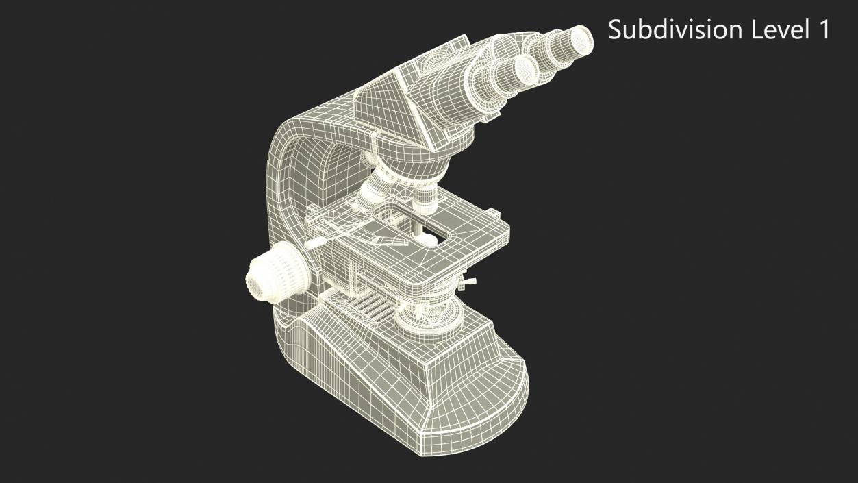 3D model Compound Light Microscope