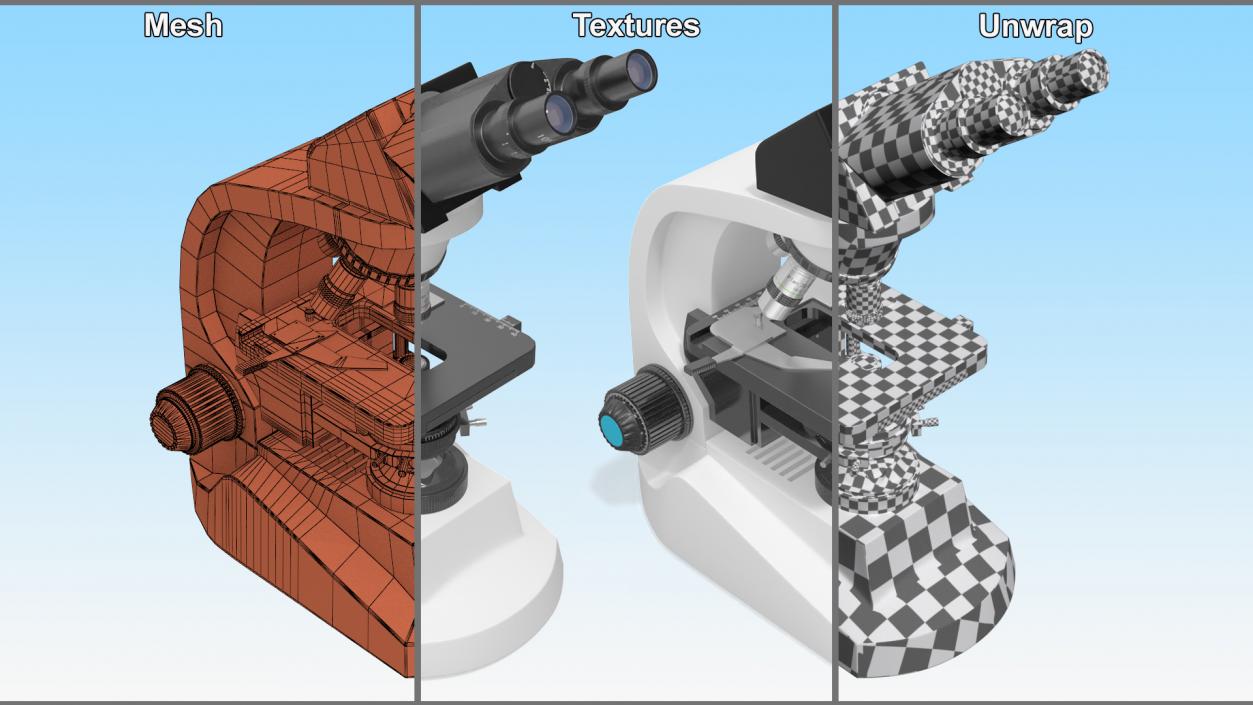 3D model Compound Light Microscope