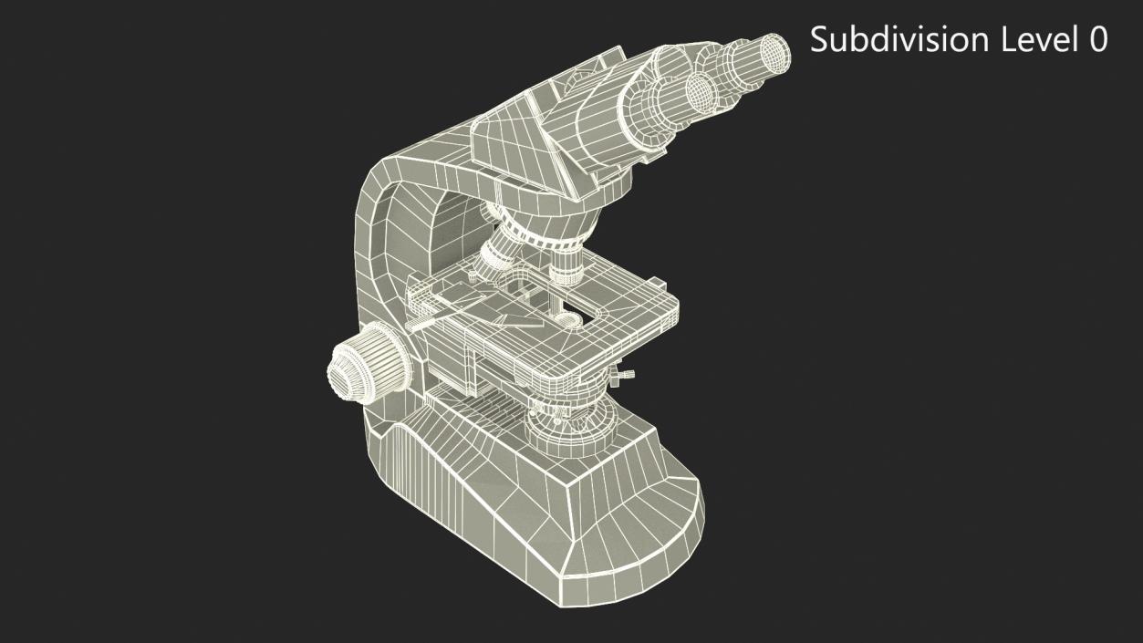 3D model Compound Light Microscope